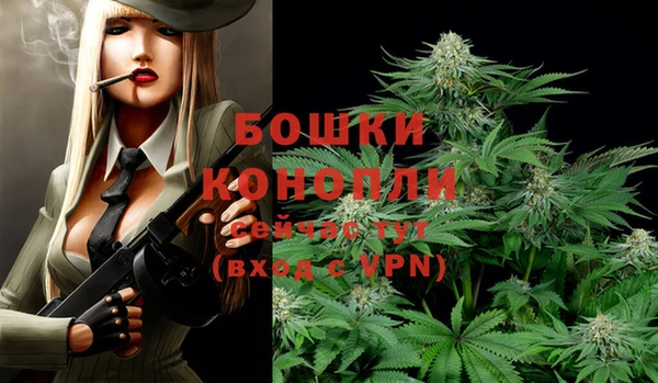 гидропоника Белокуриха