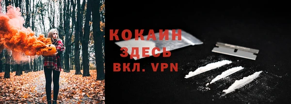 ешки Богданович